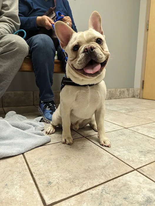 Deer Park Veterinary Hospital 2