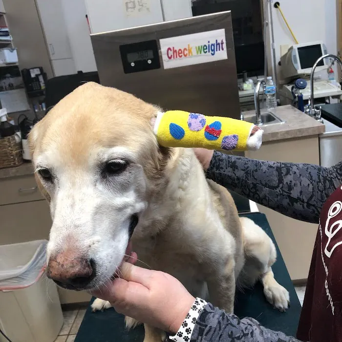 Deer Park Veterinary Hospital 6