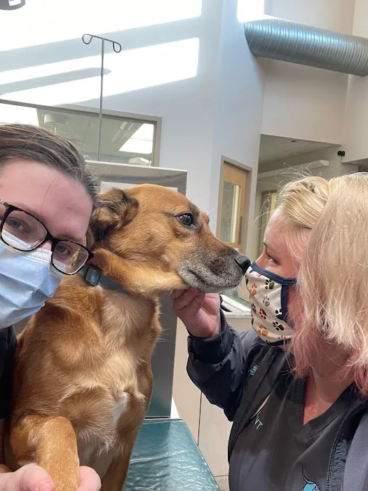 Deer Park Veterinary Hospital 1