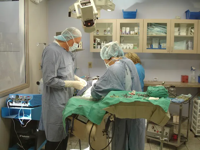 Deer Park Veterinary Hospital 4