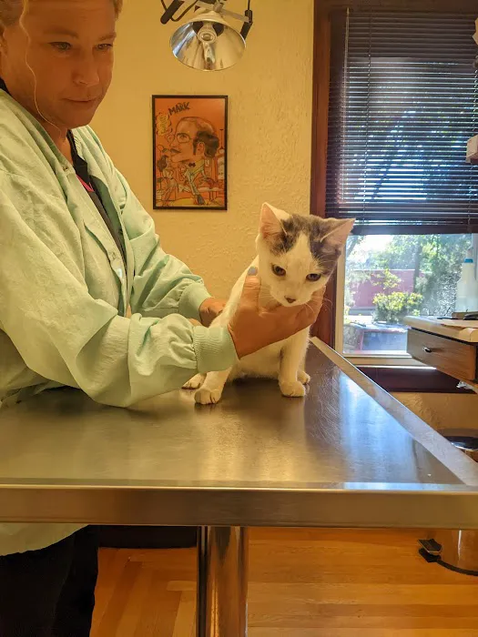 Appletree Pet Clinic 12