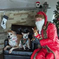 Cincinnati Hills Animal Clinic ico