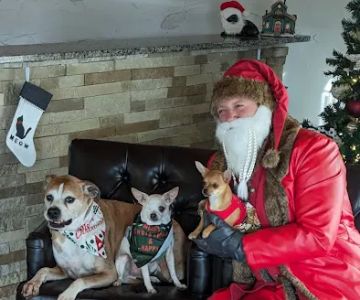 Cincinnati Hills Animal Clinic