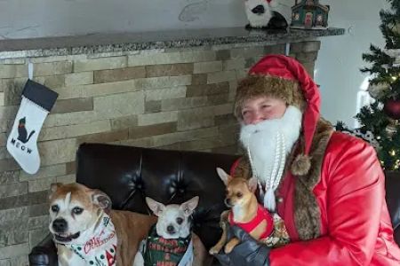 Cincinnati Hills Animal Clinic