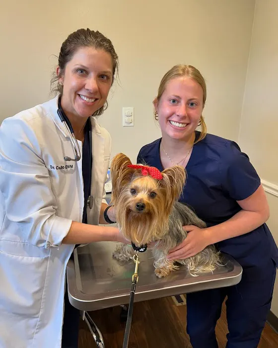Cincinnati Hills Animal Clinic 12