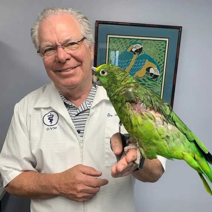 PetCare Animal Hospital 12