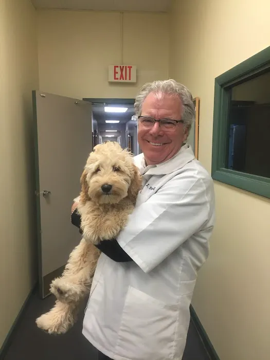 PetCare Animal Hospital 12