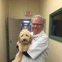 PetCare Animal Hospital ico