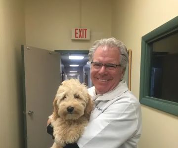 PetCare Animal Hospital