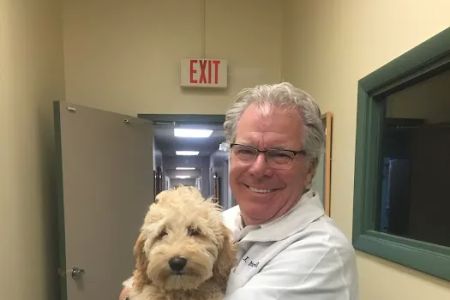 PetCare Animal Hospital