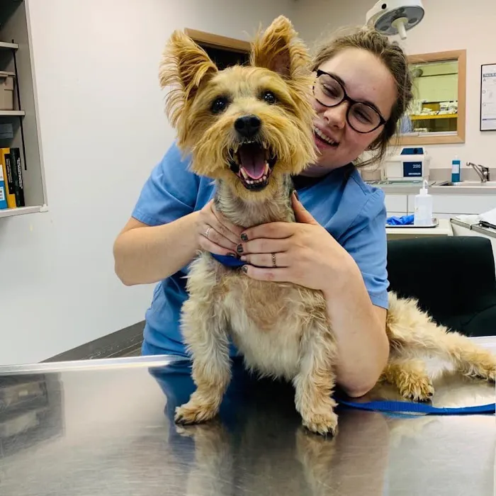 Montgomery Animal Hospital 3