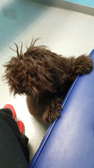 Montgomery Animal Hospital 1