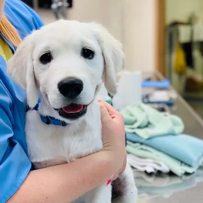 Montgomery Animal Hospital 6