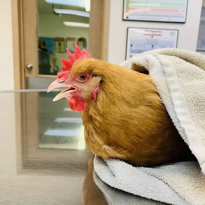 Montgomery Animal Hospital 7