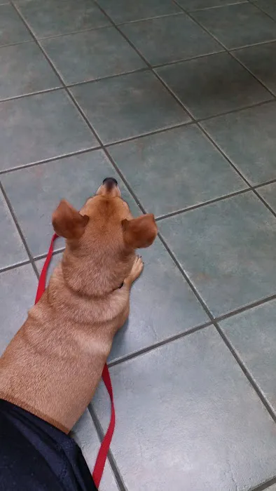 Wyoming Veterinary Clinic 12
