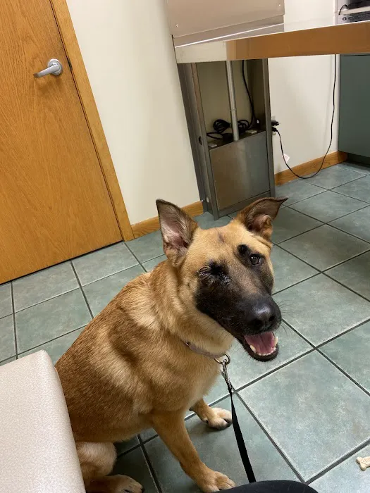 Wyoming Veterinary Clinic 12