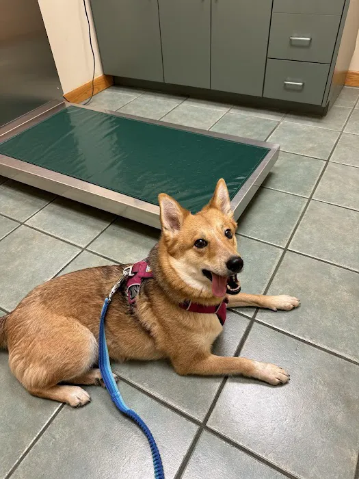 Wyoming Veterinary Clinic 12
