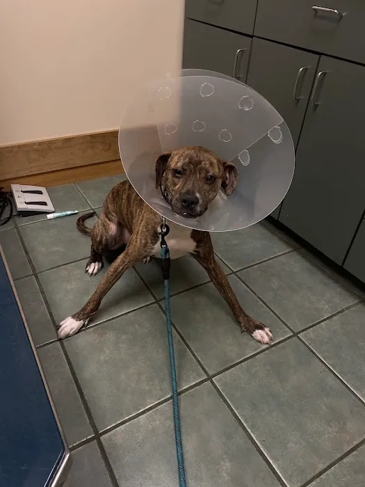 Wyoming Veterinary Clinic 12