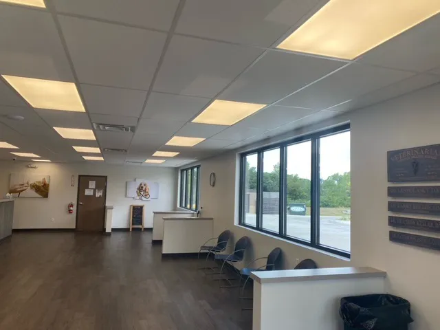 Lewis Animal Hospital - Ridge 12