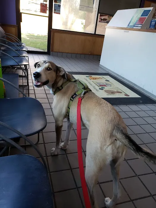 Lewis Animal Hospital - Ridge 12