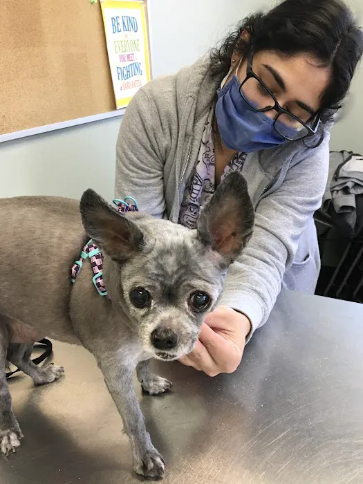 Pets In Need of Greater Cincinnati 4