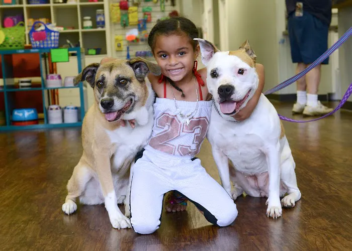 Pets In Need of Greater Cincinnati 3