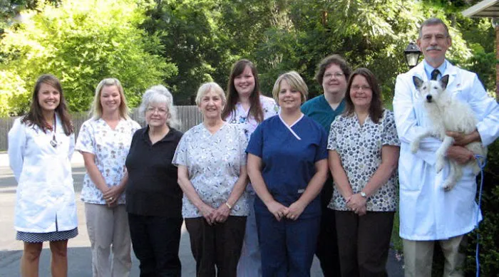 VCA Madeira Animal Hospital 12