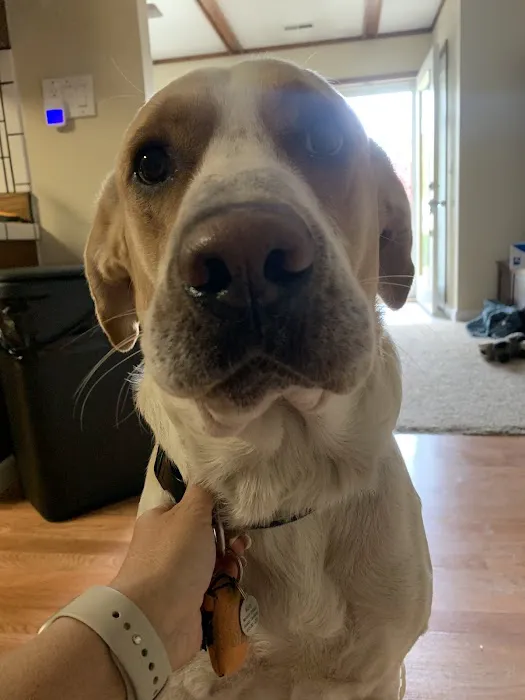 Mason Animal Hospital 2