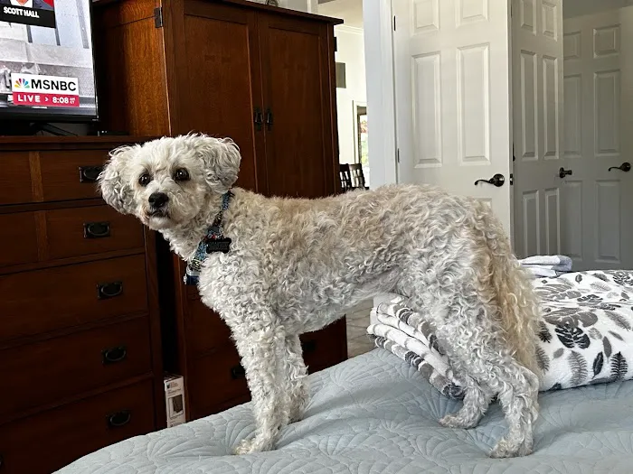 Mason Animal Hospital 6