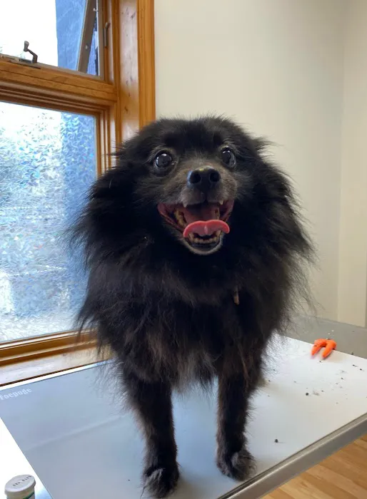 Loveland Regional Animal Hospital 12