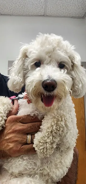 Loveland Regional Animal Hospital 12