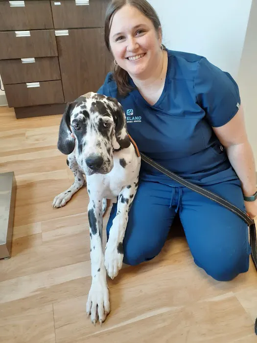 Loveland Regional Animal Hospital 12