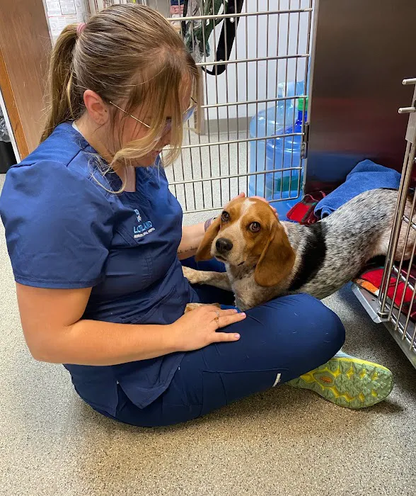 Loveland Regional Animal Hospital 12