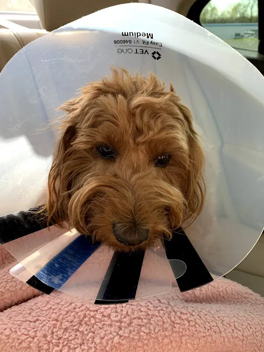 East Hills Veterinary Clinic 12