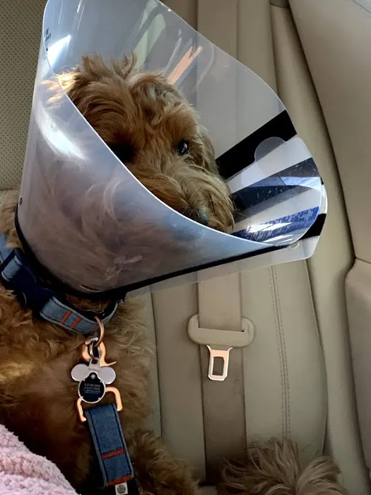 East Hills Veterinary Clinic 12