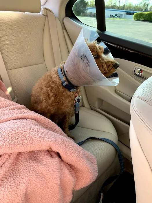 East Hills Veterinary Clinic 12