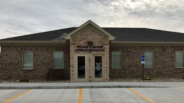 Wards Corner Animal Hospital 3
