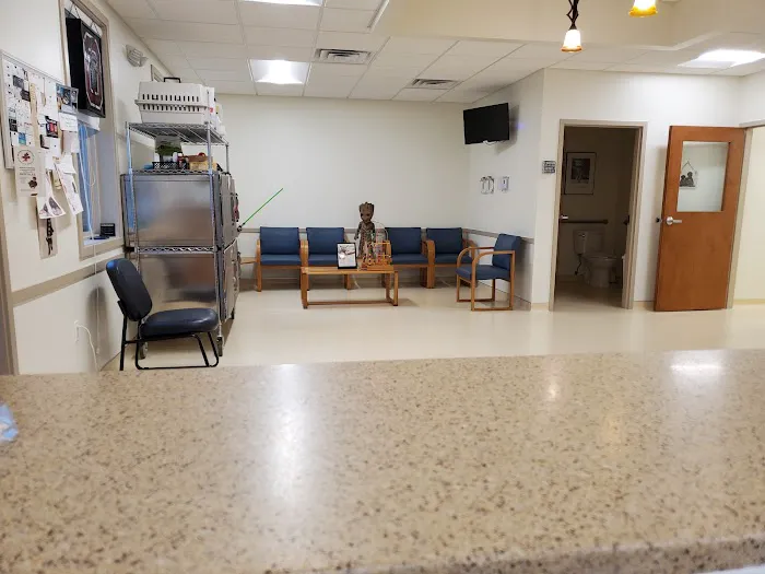 Wards Corner Animal Hospital 1