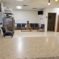 Wards Corner Animal Hospital ico