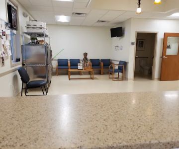 Wards Corner Animal Hospital