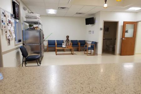 Wards Corner Animal Hospital