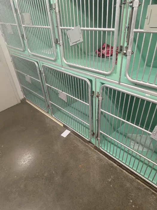 Country View Veterinary Clinic 6