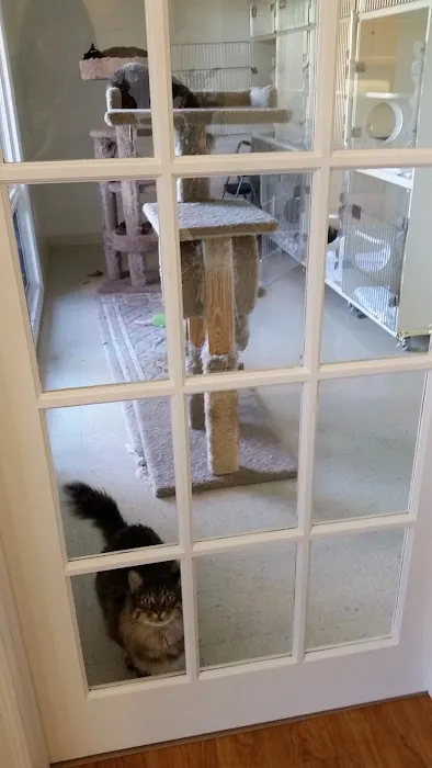 Cat Clinic of Central Illinois 12