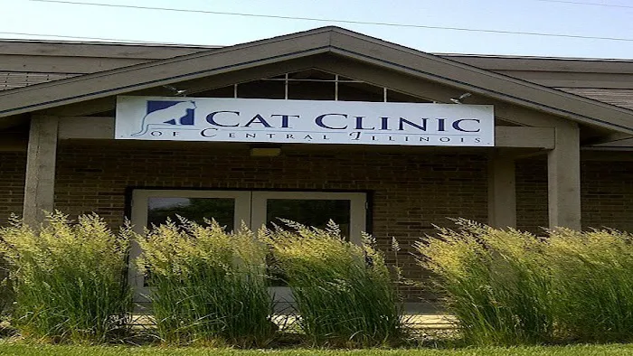 Cat Clinic of Central Illinois 12