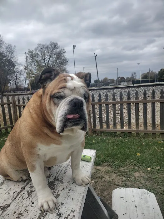 Banfield Pet Hospital 3