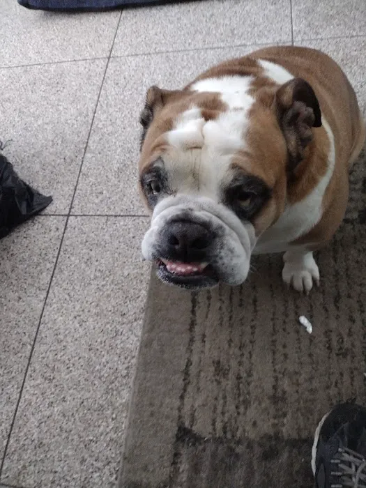 Banfield Pet Hospital 2