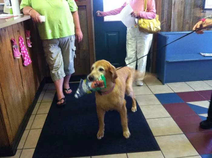 Crawfordsville Veterinary Clinic: Martin Tom DVM 2