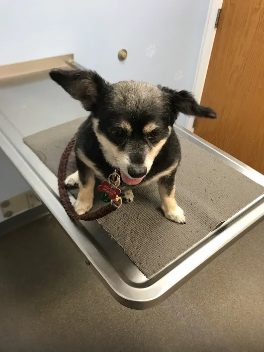 Shaver Road Animal Hospital 1