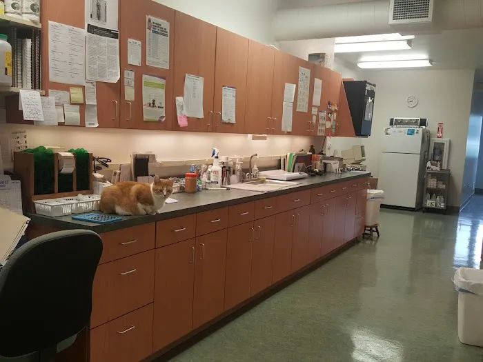 Schoolcraft Veterinary 7