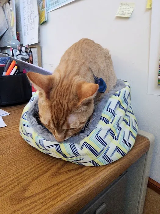 Schoolcraft Veterinary Clinic: Bandkau Doug L DVM 3